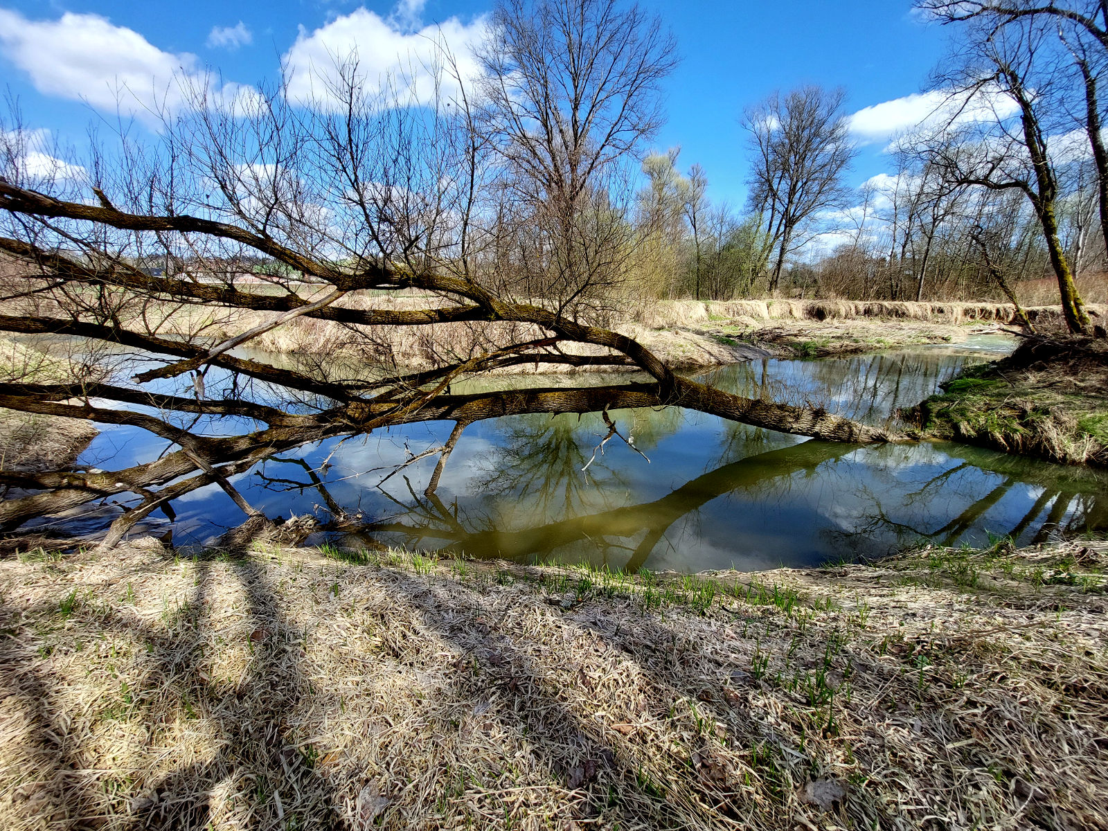 20260405_113615.jpg