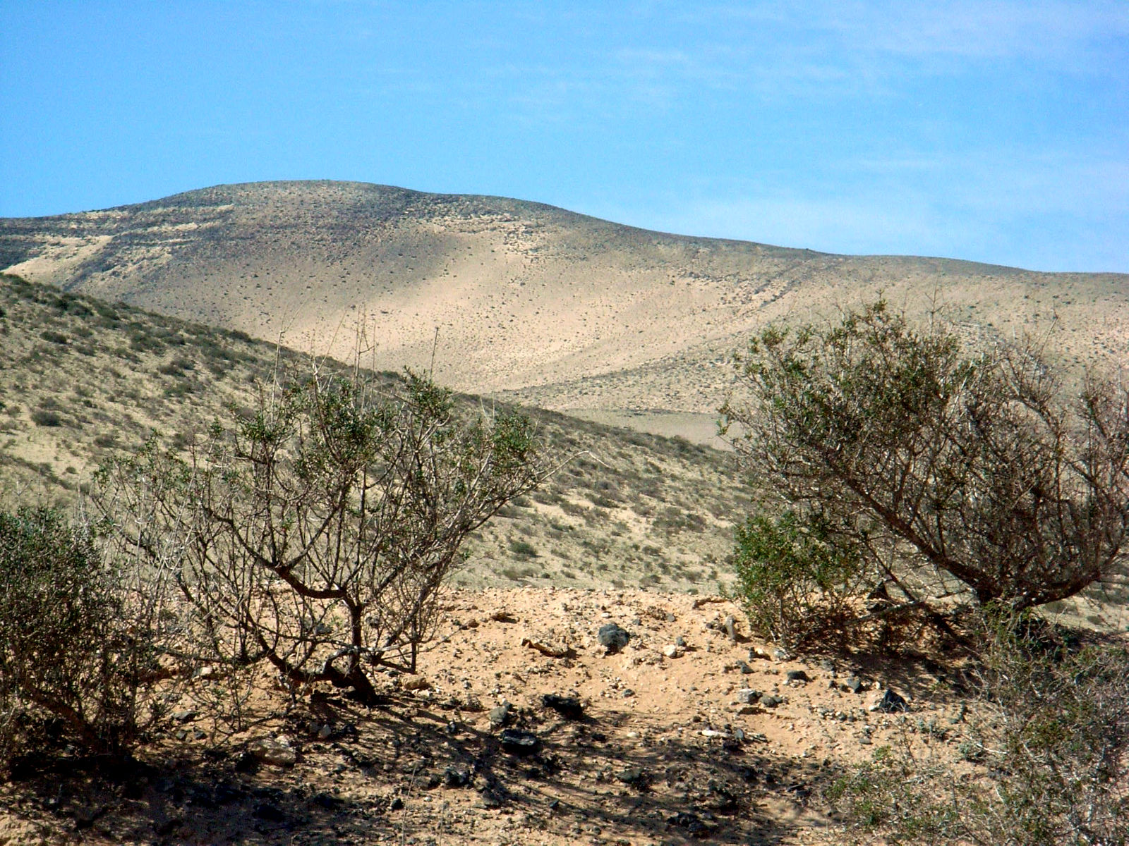 P25G0907.JPG