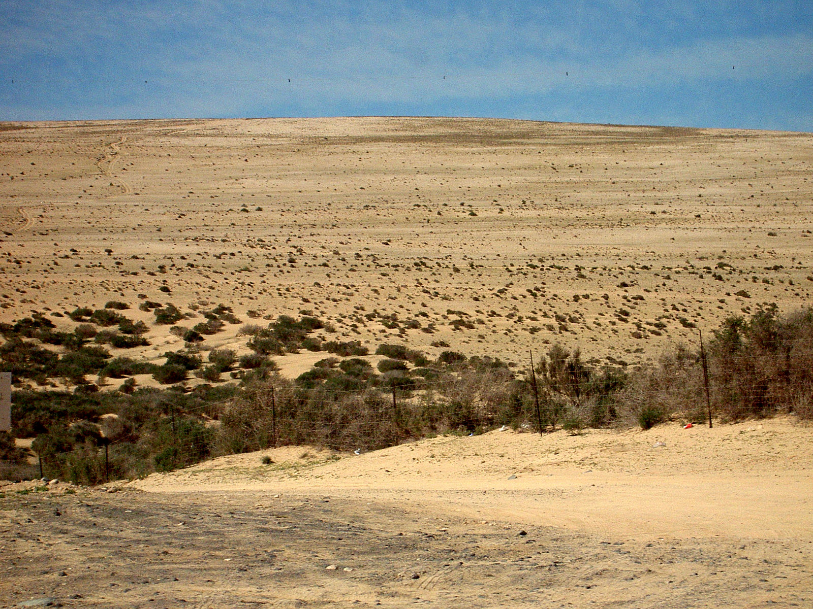 PICT5004.JPG