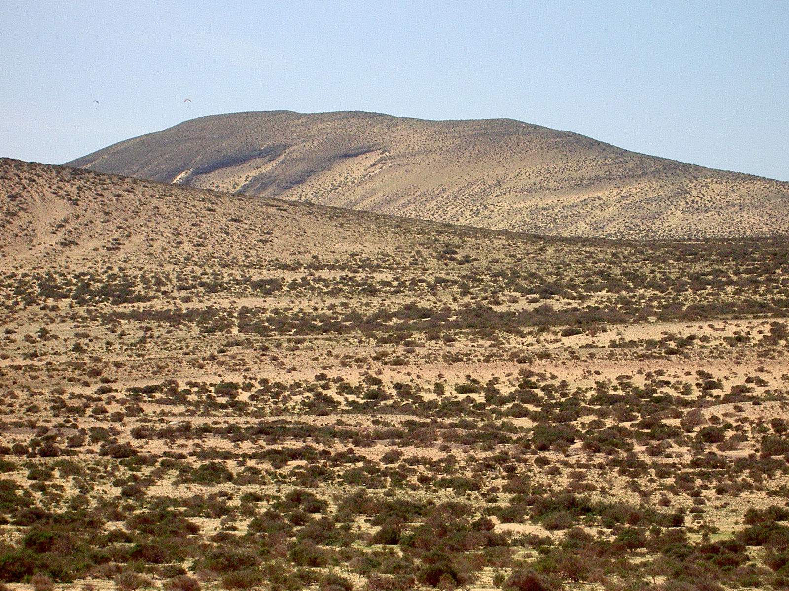 PICT5006.JPG
