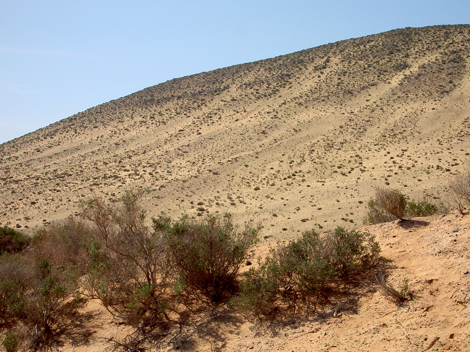 PICT5007.JPG
