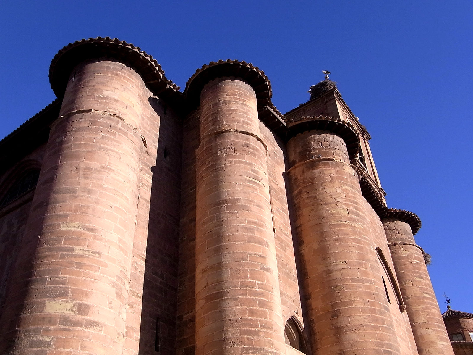 P07G2231.JPG