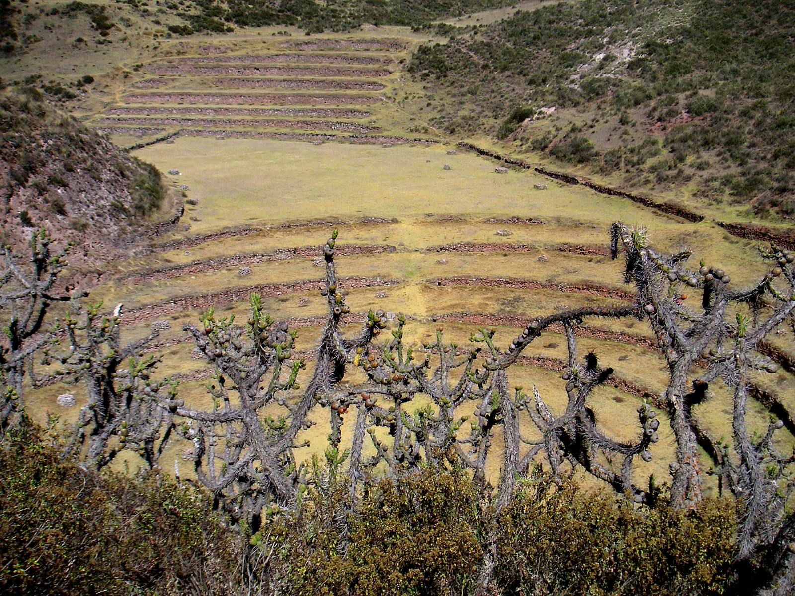 PICT0003.JPG
