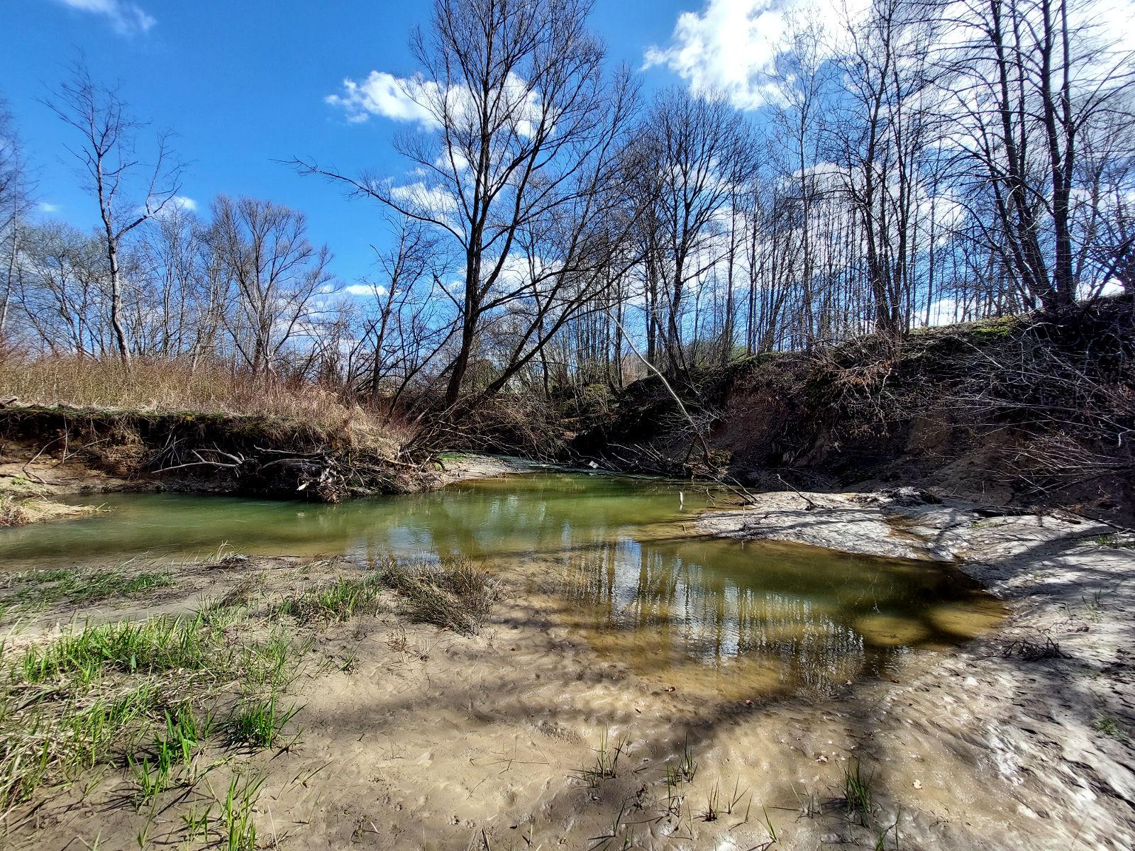 20260405_114625.jpg