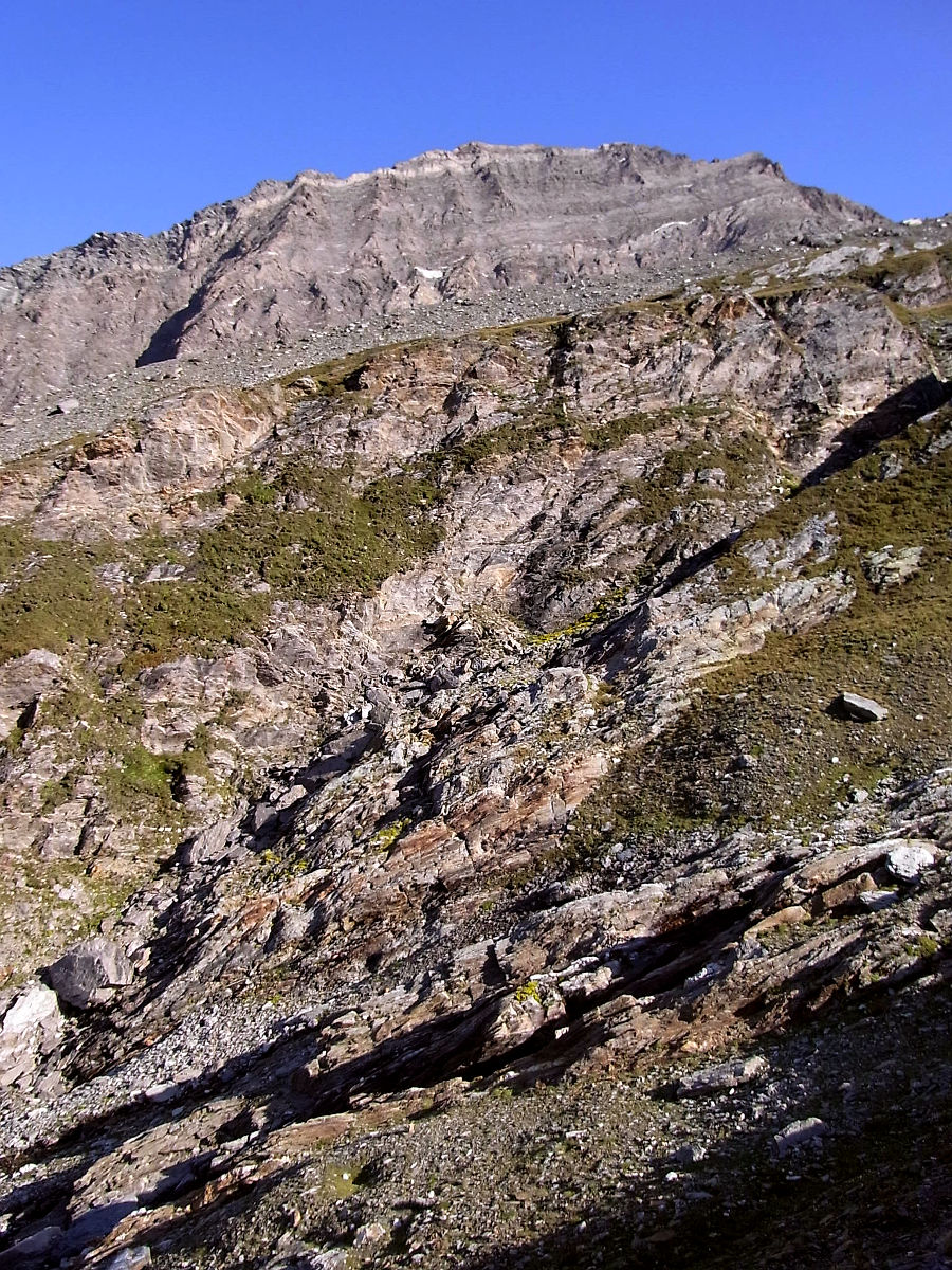 RIMG1008.JPG