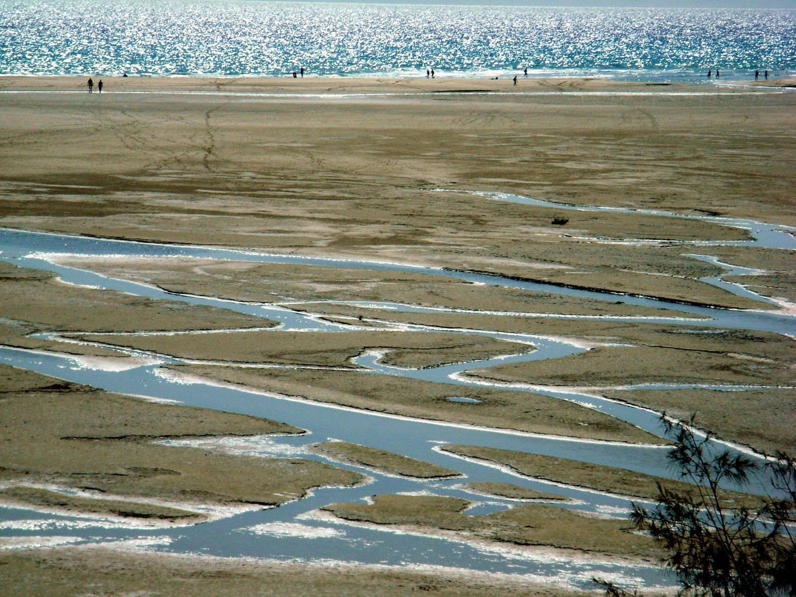 P25G0910.JPG
