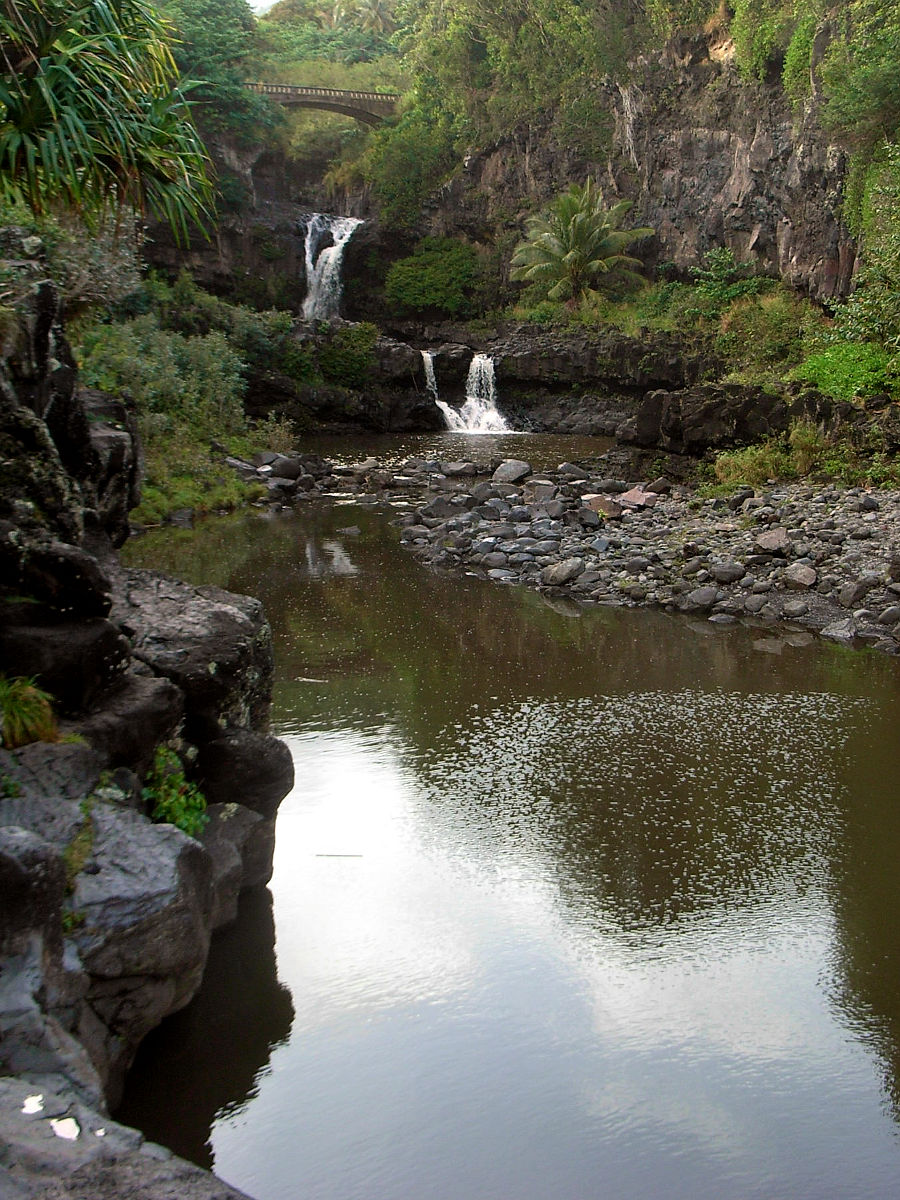 P10G0405.JPG