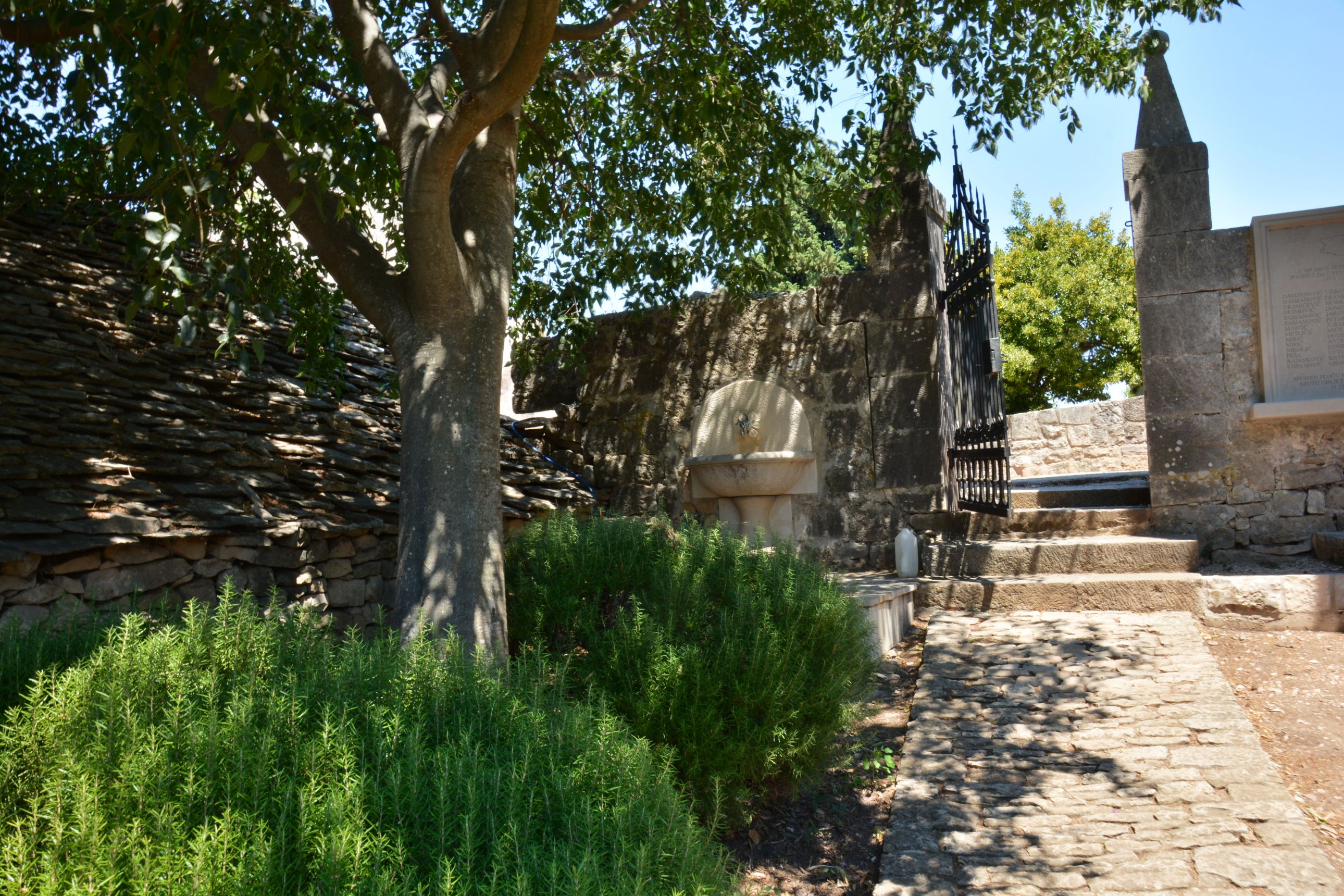 DSC_6063.JPG