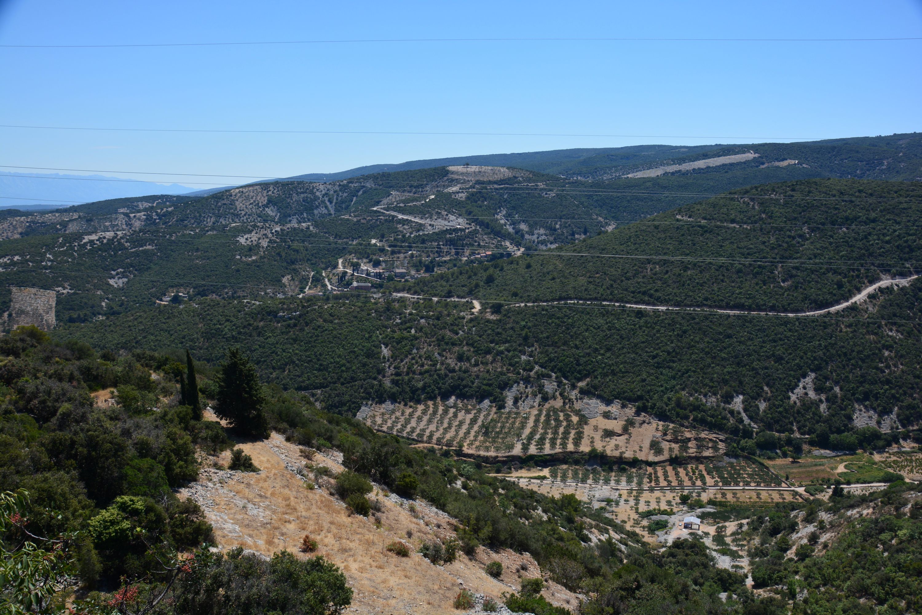 DSC_6051.JPG