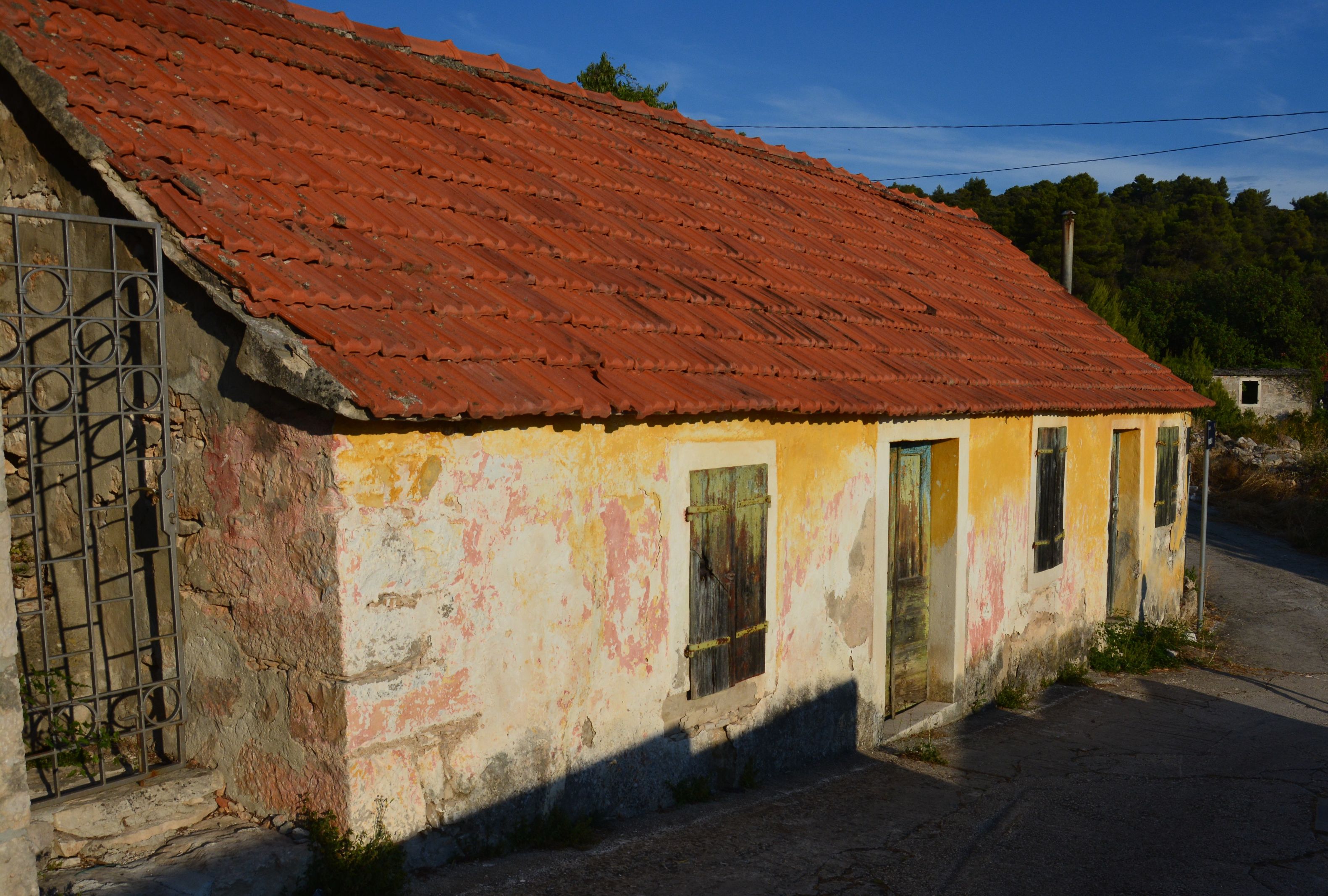 DSC_6233.JPG