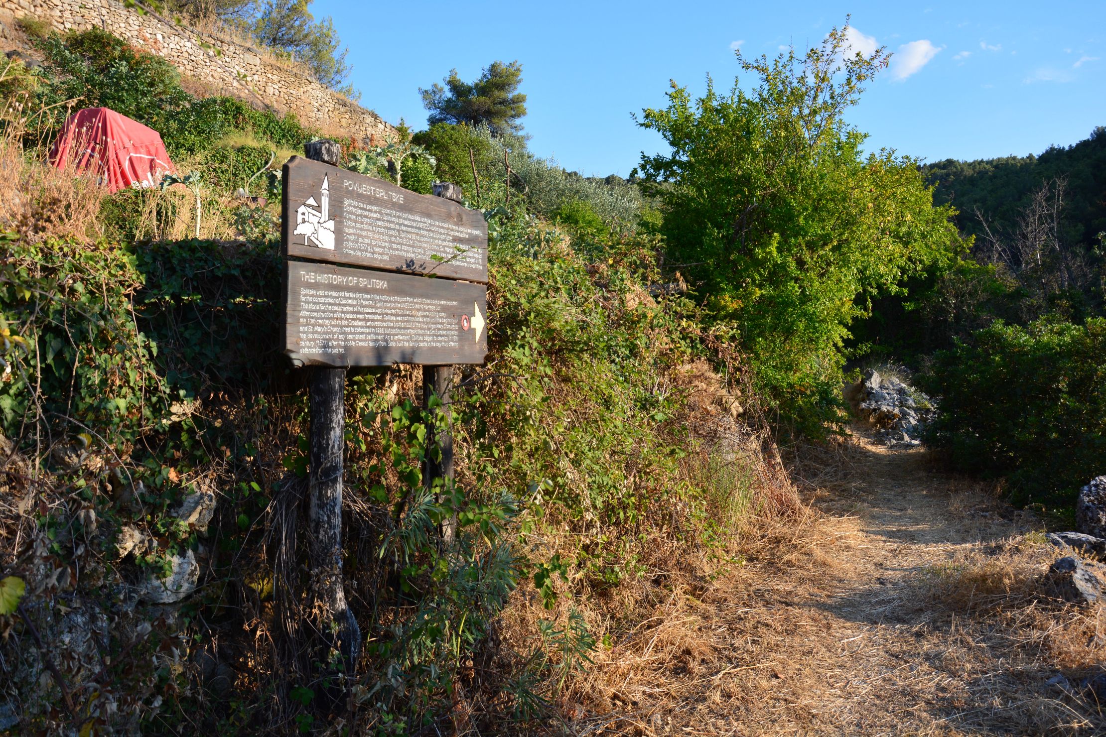 DSC_6237.JPG