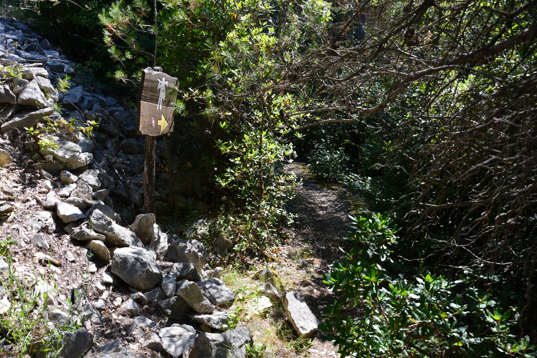 DSC_6679.JPG