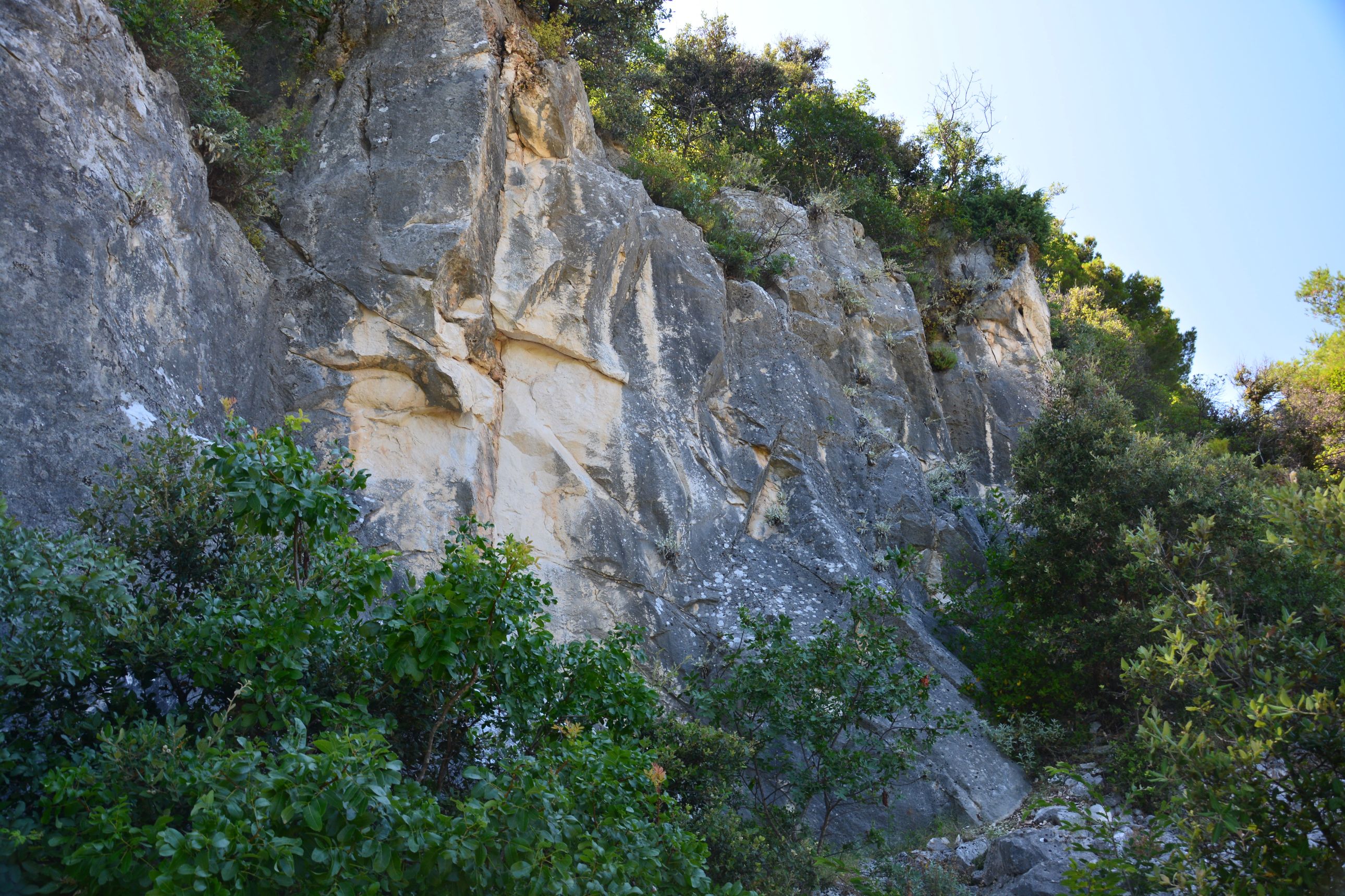 DSC_6680.JPG