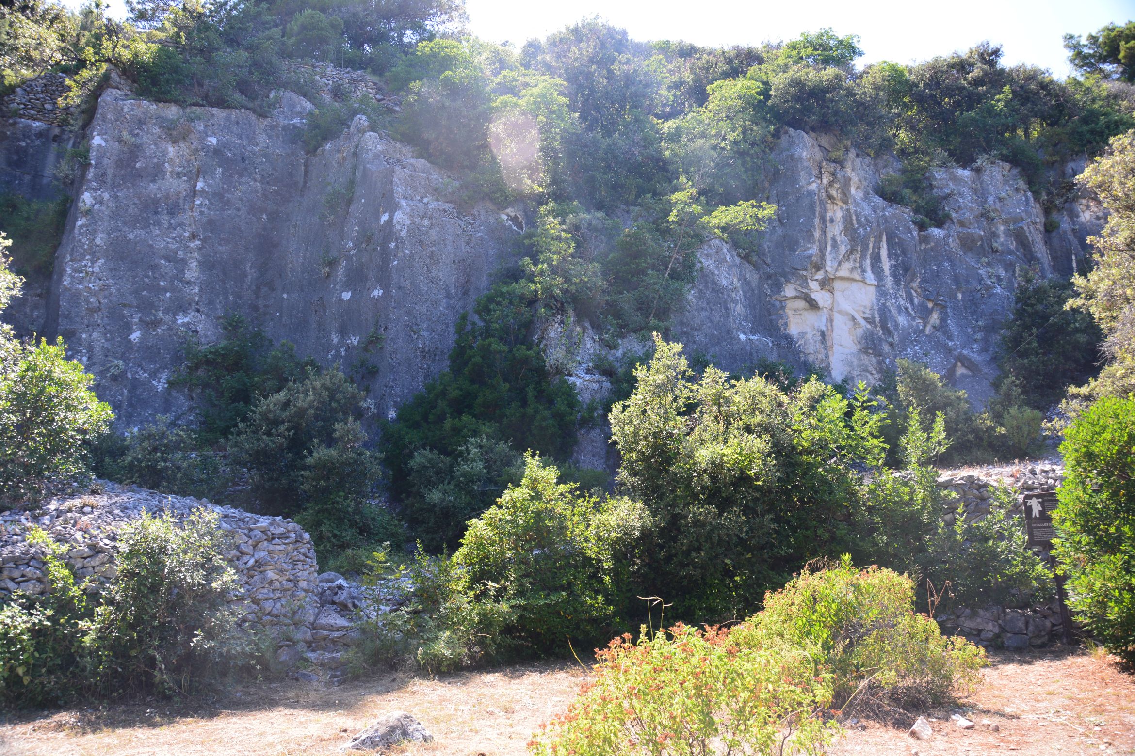 DSC_6687.JPG