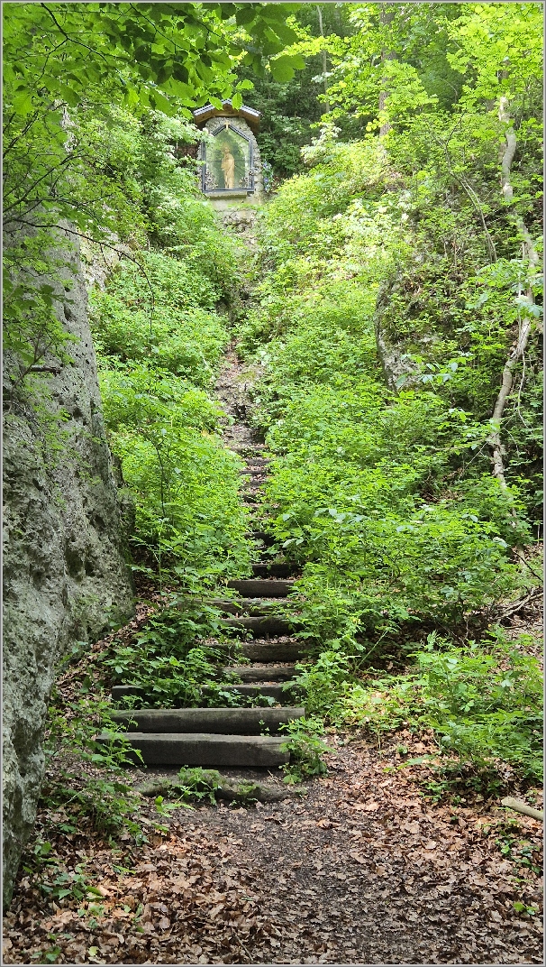 28-20260605_125314.jpg
