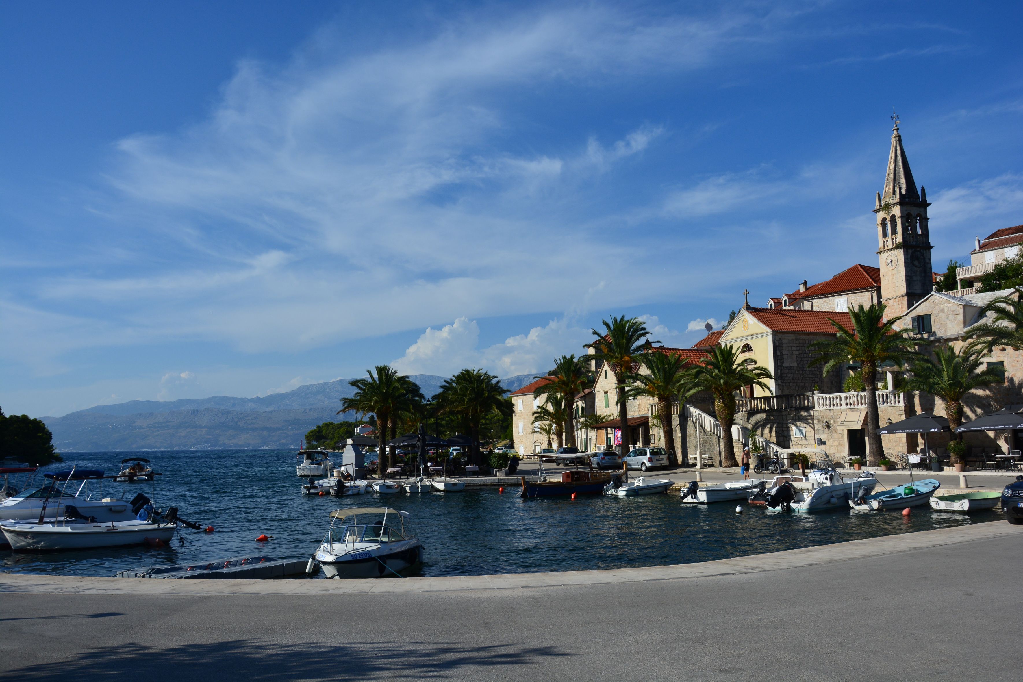 DSC_7767.JPG