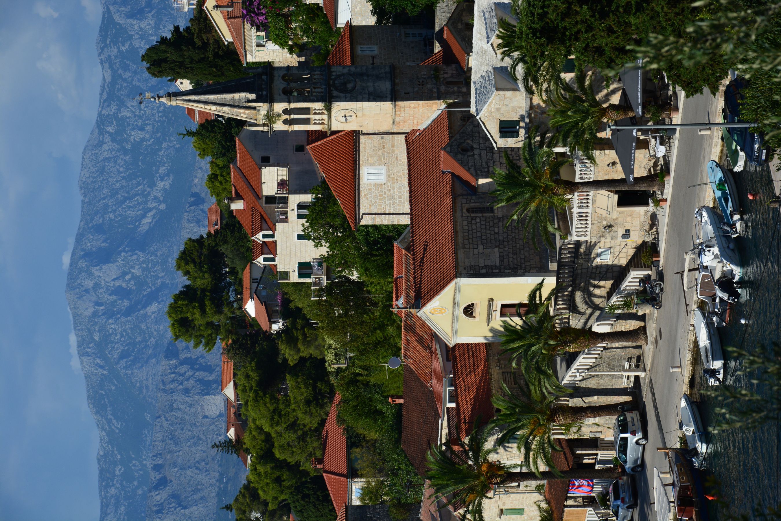 DSC_7768.JPG
