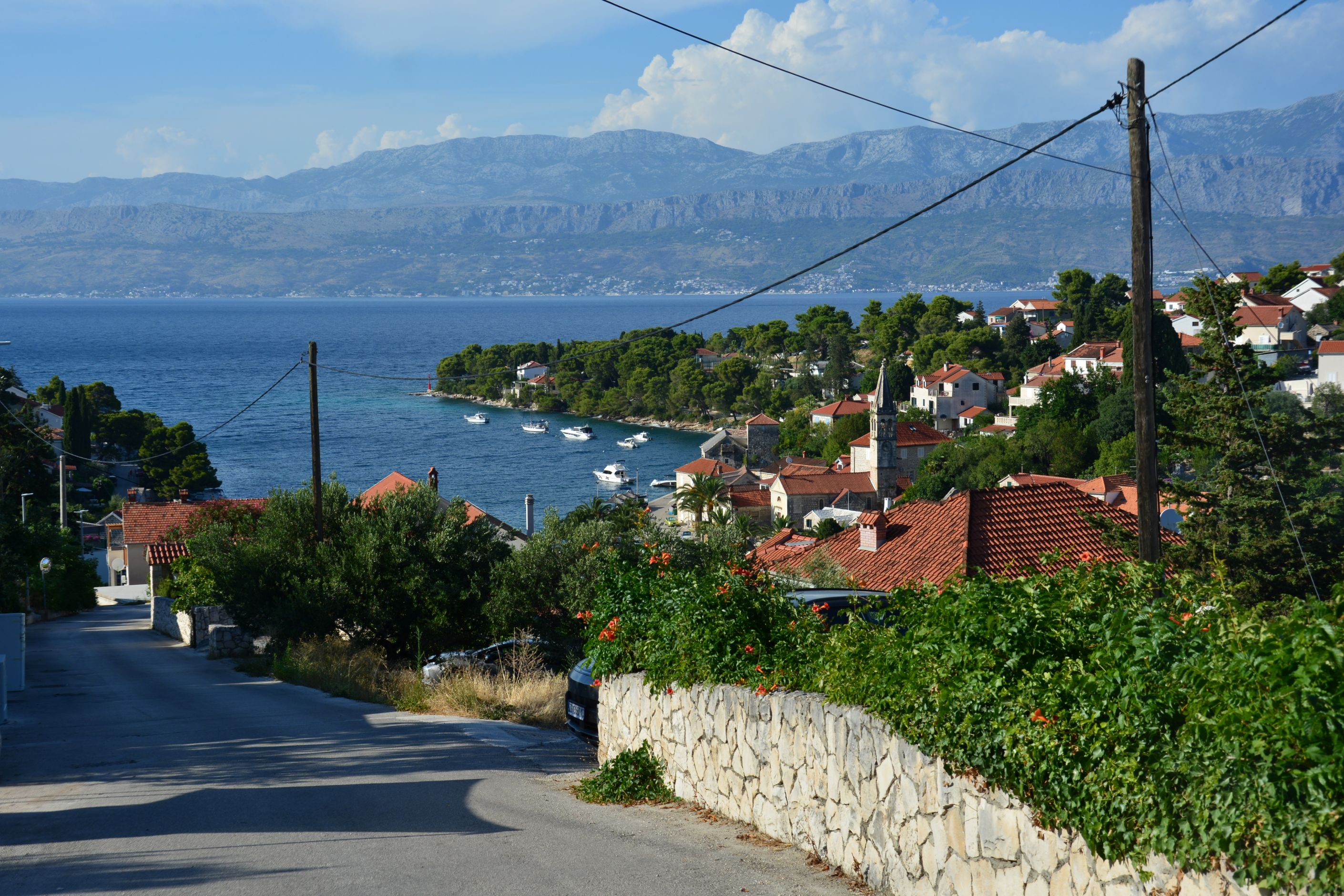 DSC_7771.JPG