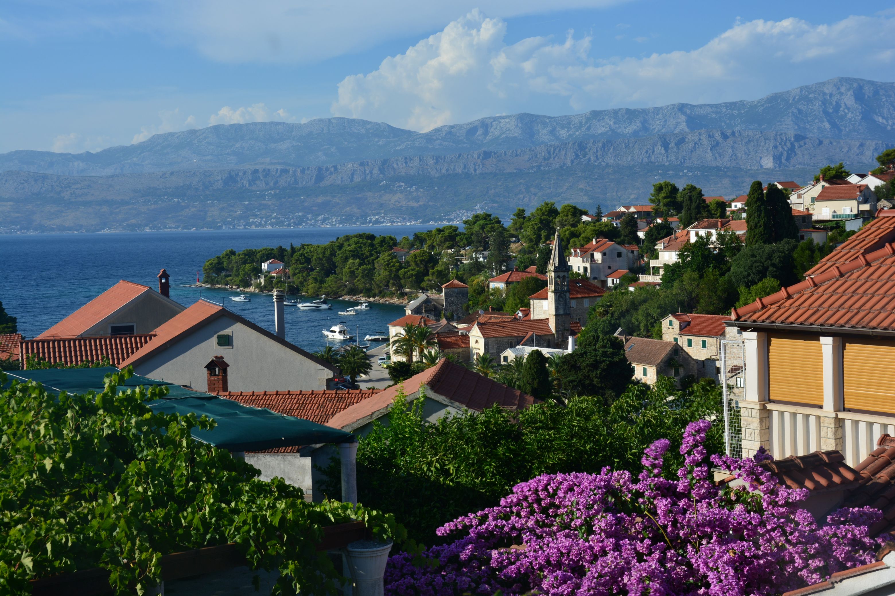 DSC_7782.JPG