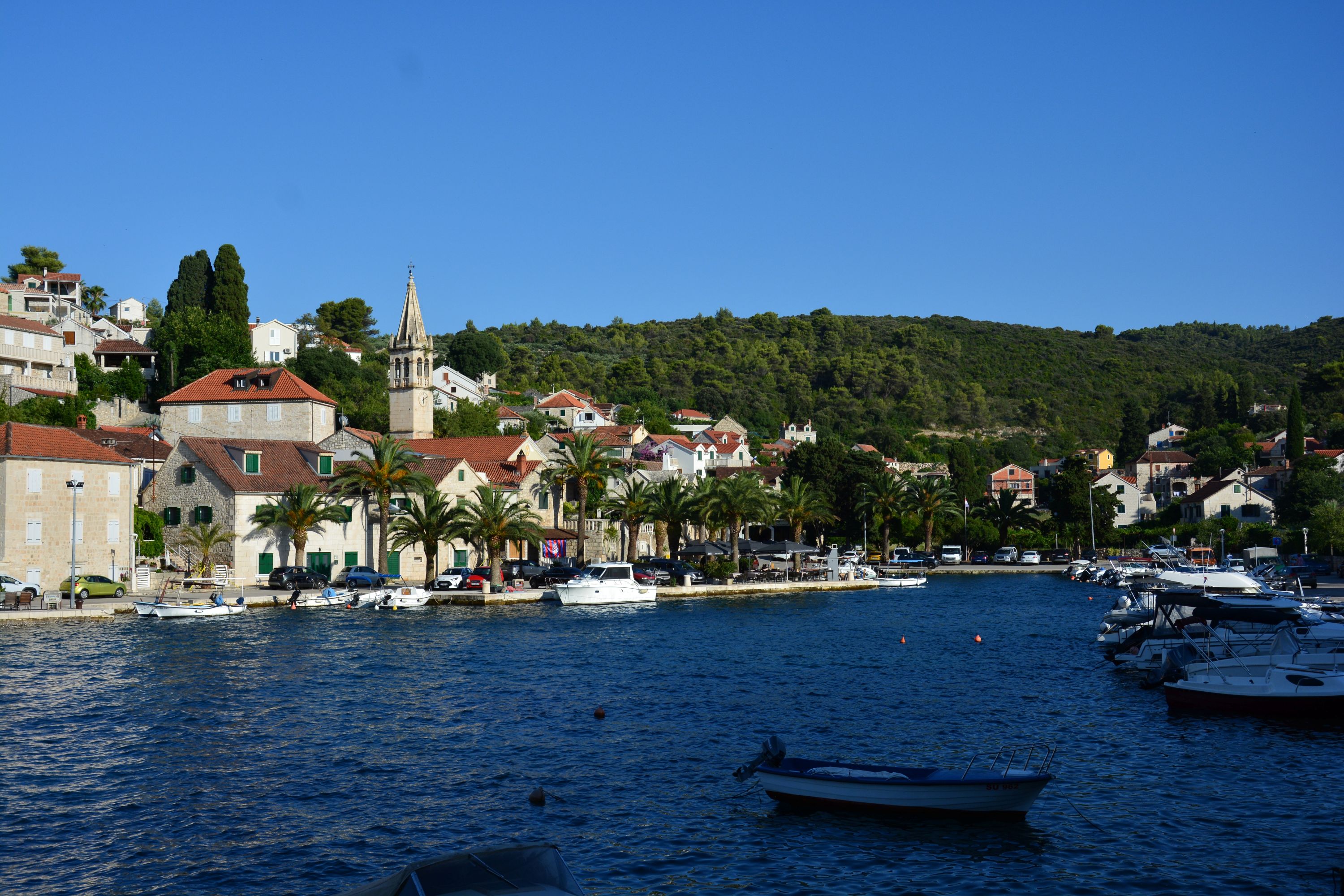 DSC_7804.JPG