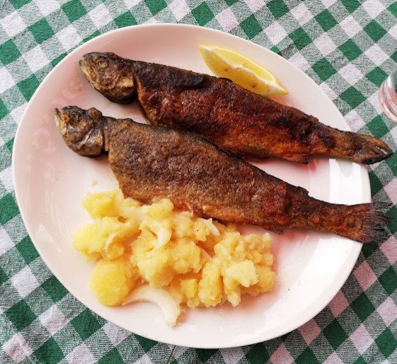 mala ryba.jpg