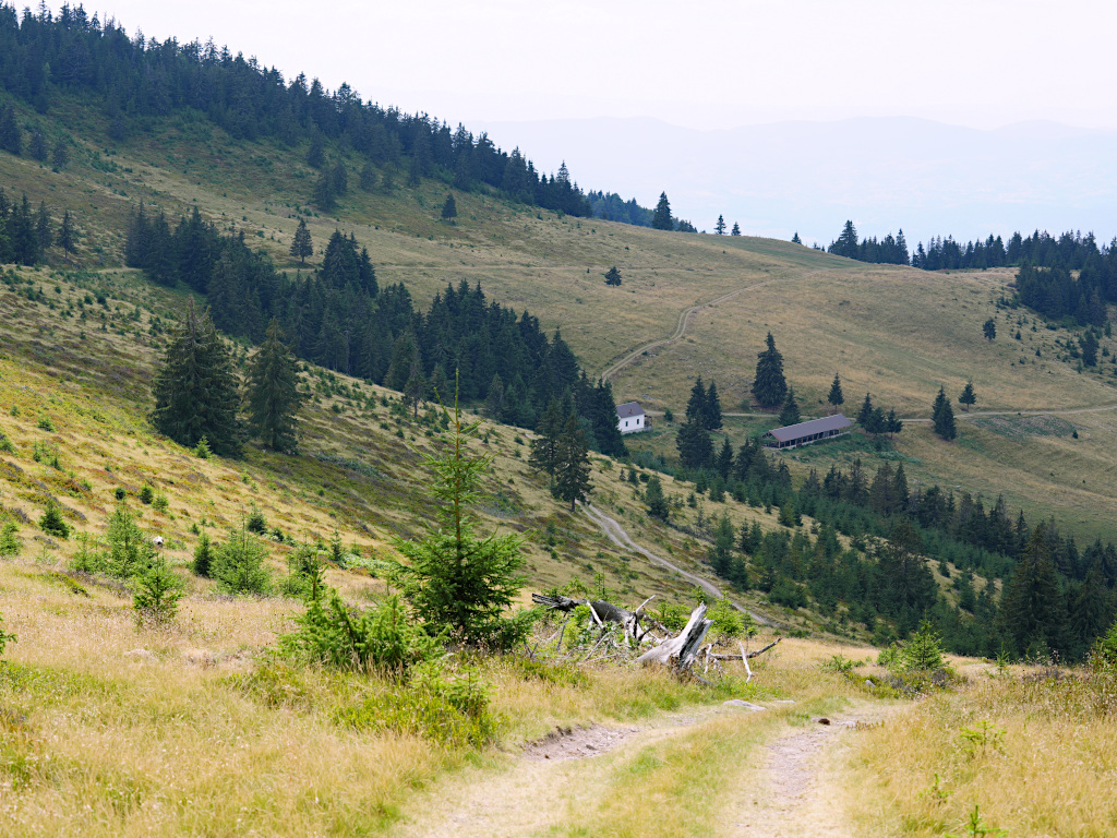2026-08-14-14h56m07.JPG