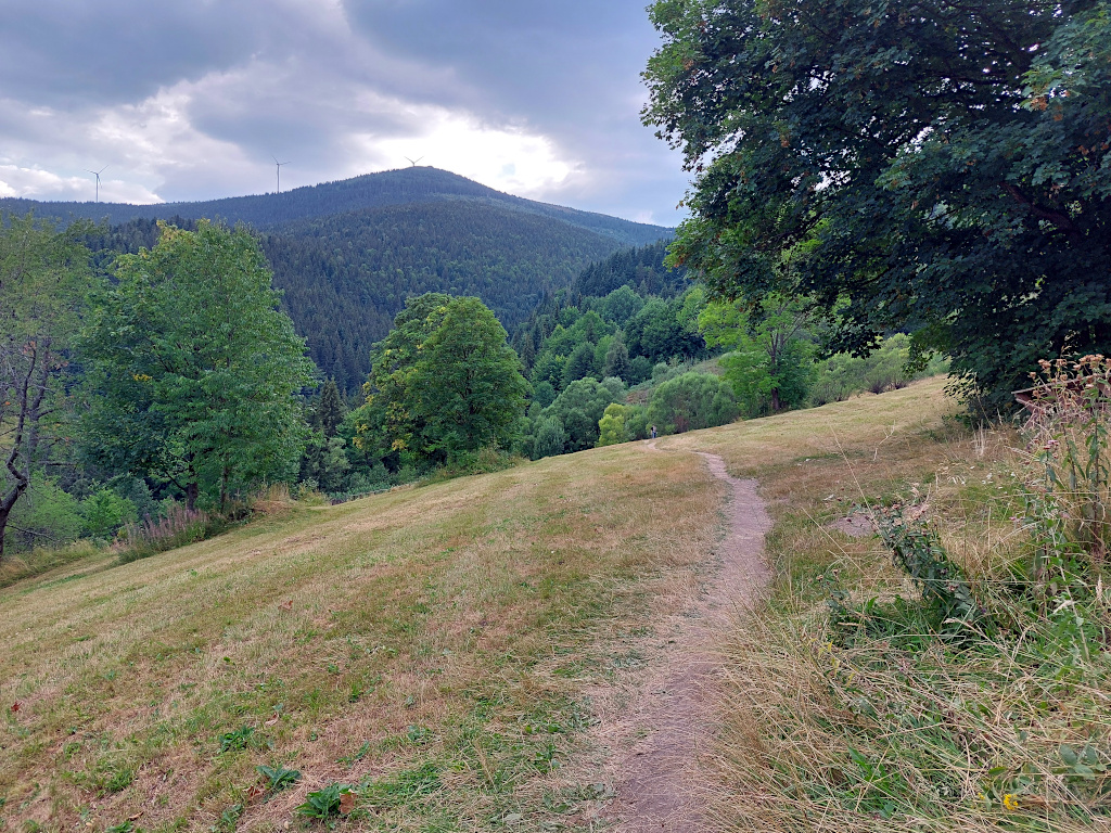 2026-08-14-18h15m01.jpg