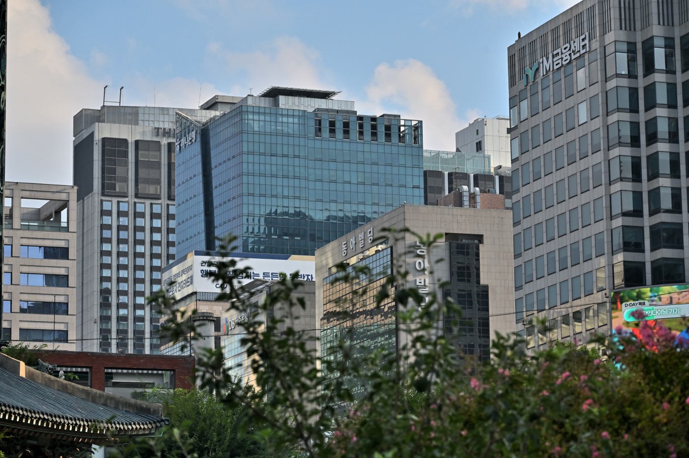 DSC_0898_00010.jpg