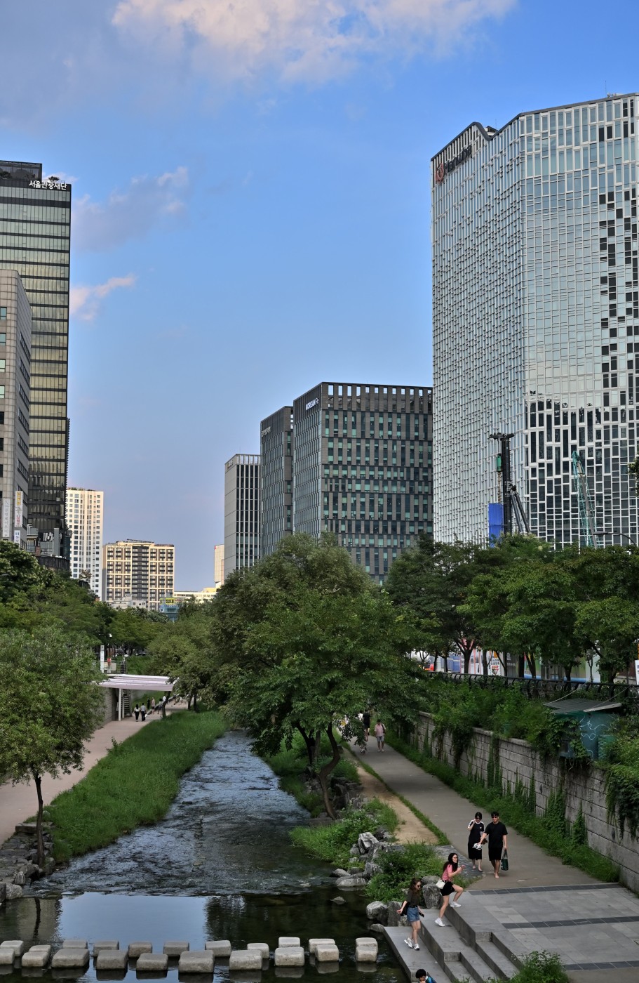 DSC_0908_00020.jpg
