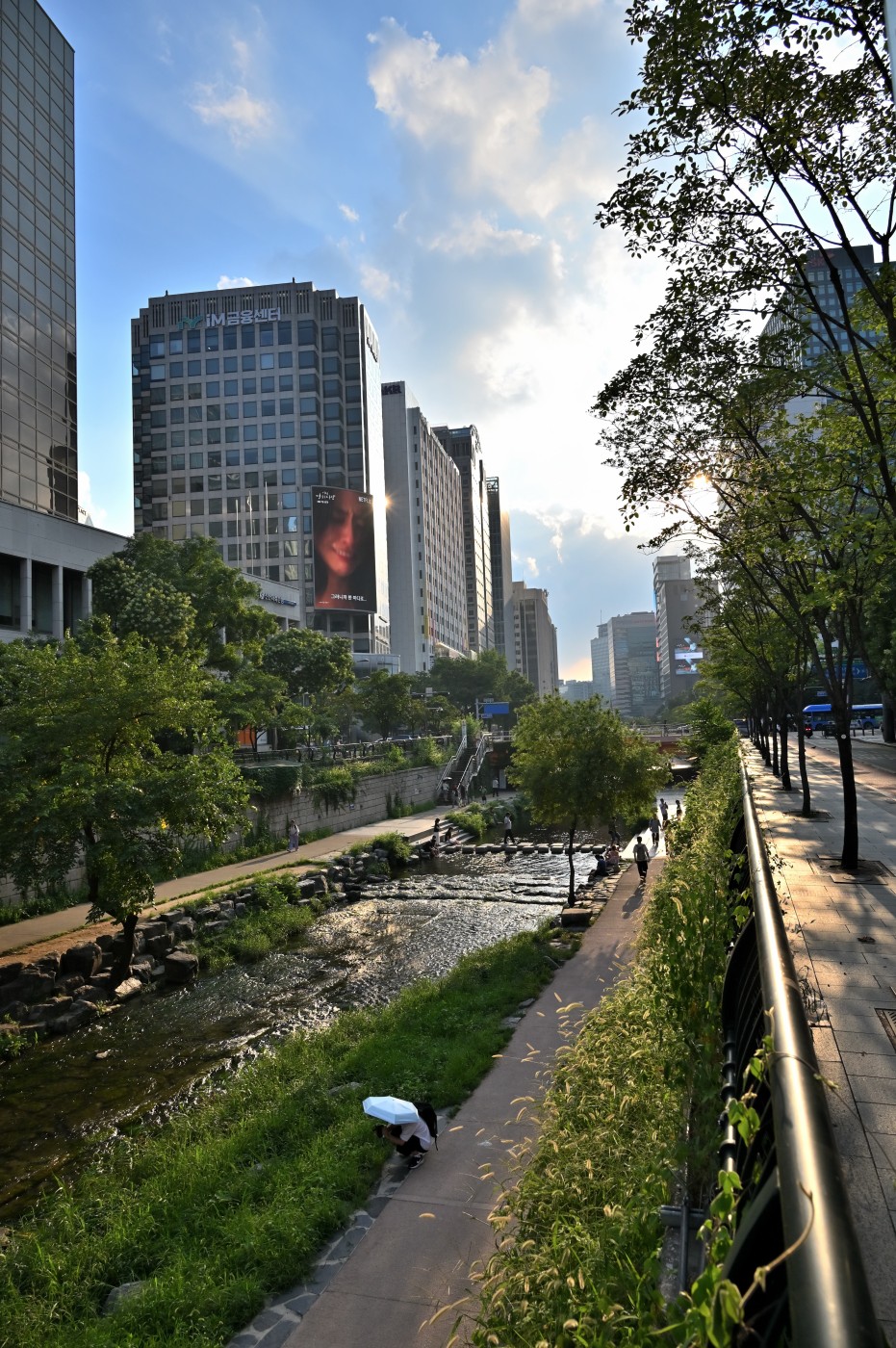 DSC_0917_00029.jpg