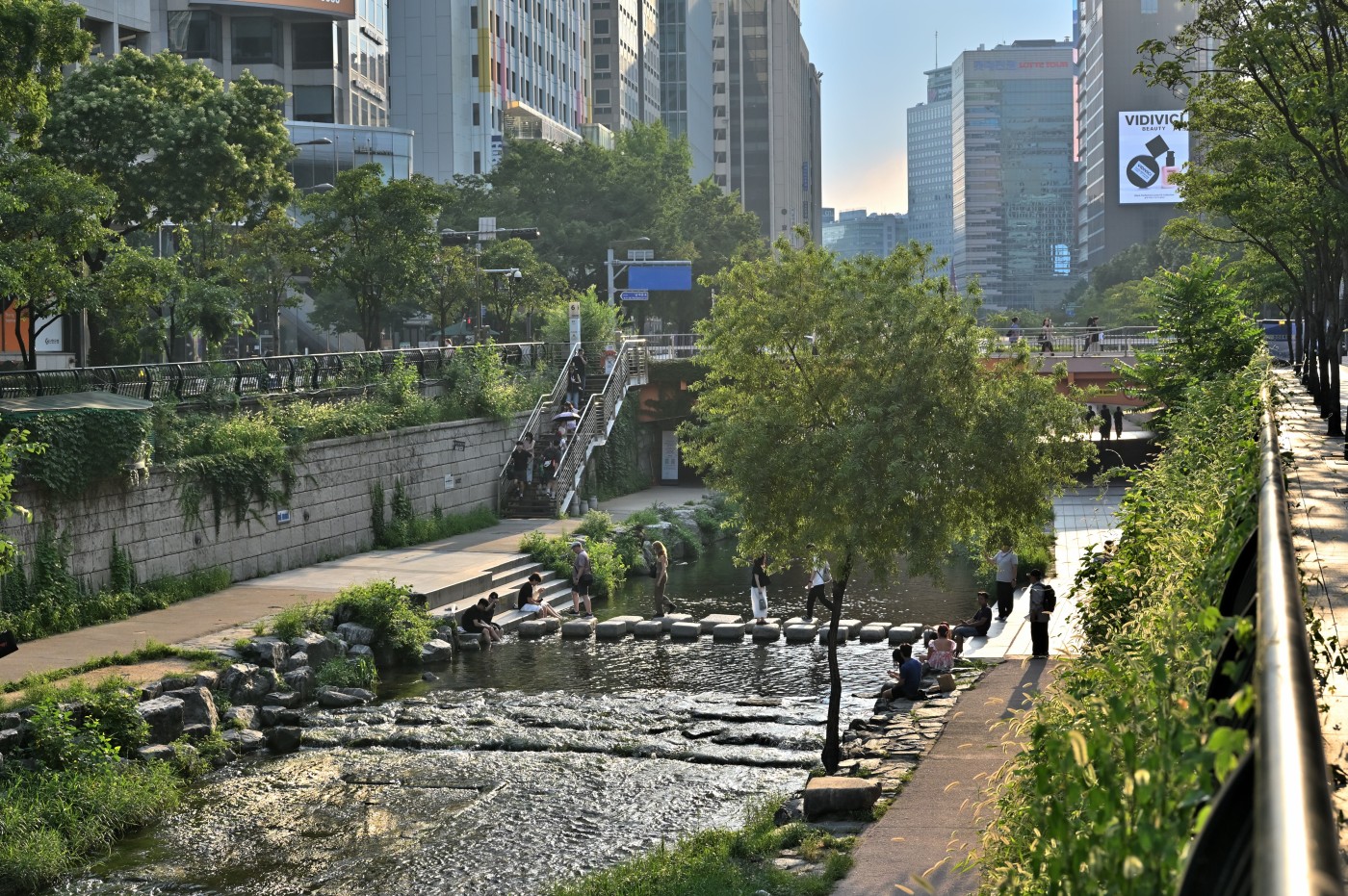 DSC_0919_00030.jpg