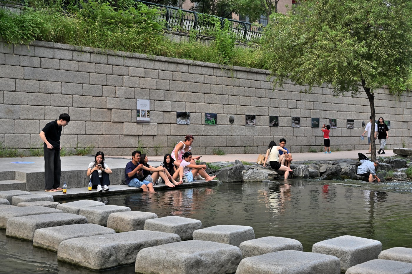 DSC_0927_00038.jpg