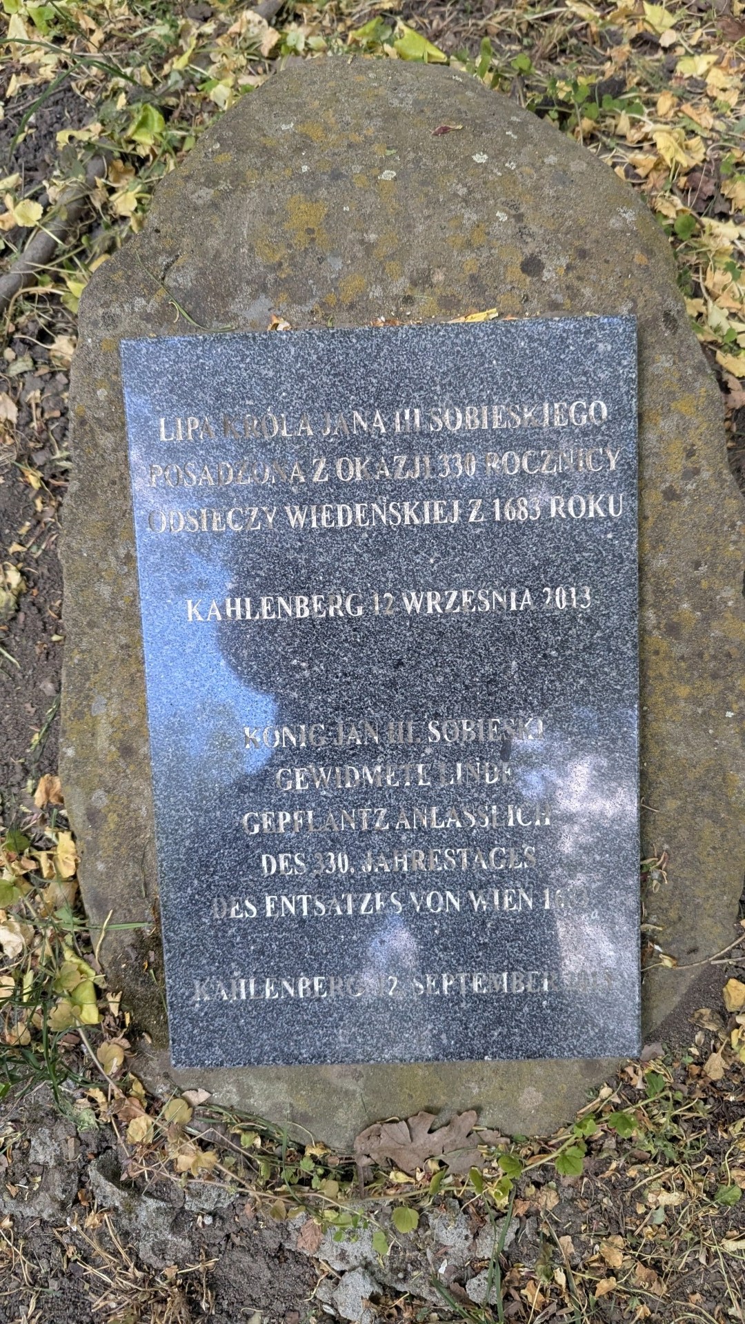 lipa2.jpg