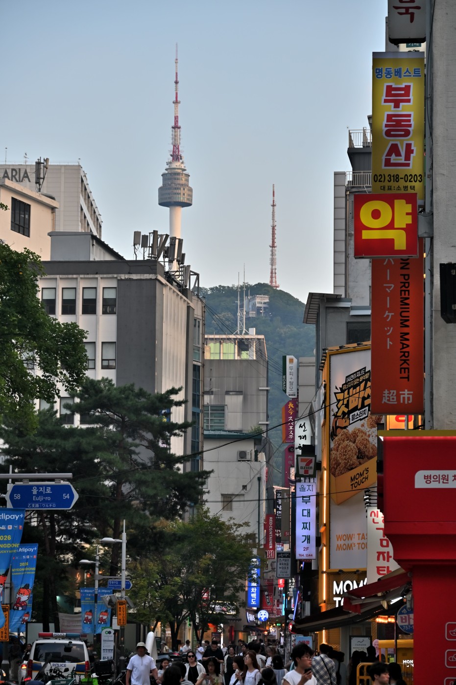 DSC_0931_00042.jpg