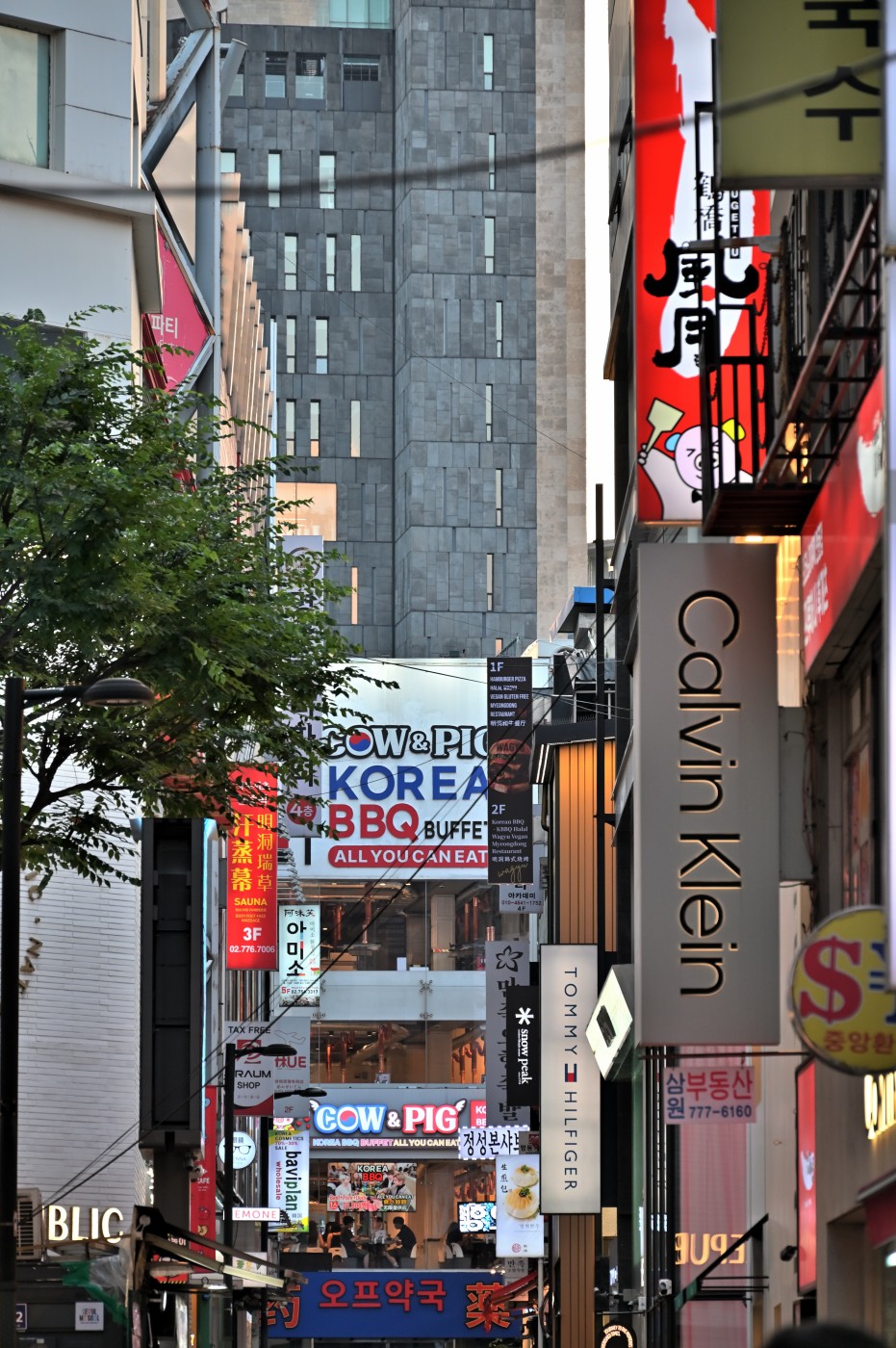 DSC_0952_00063.jpg