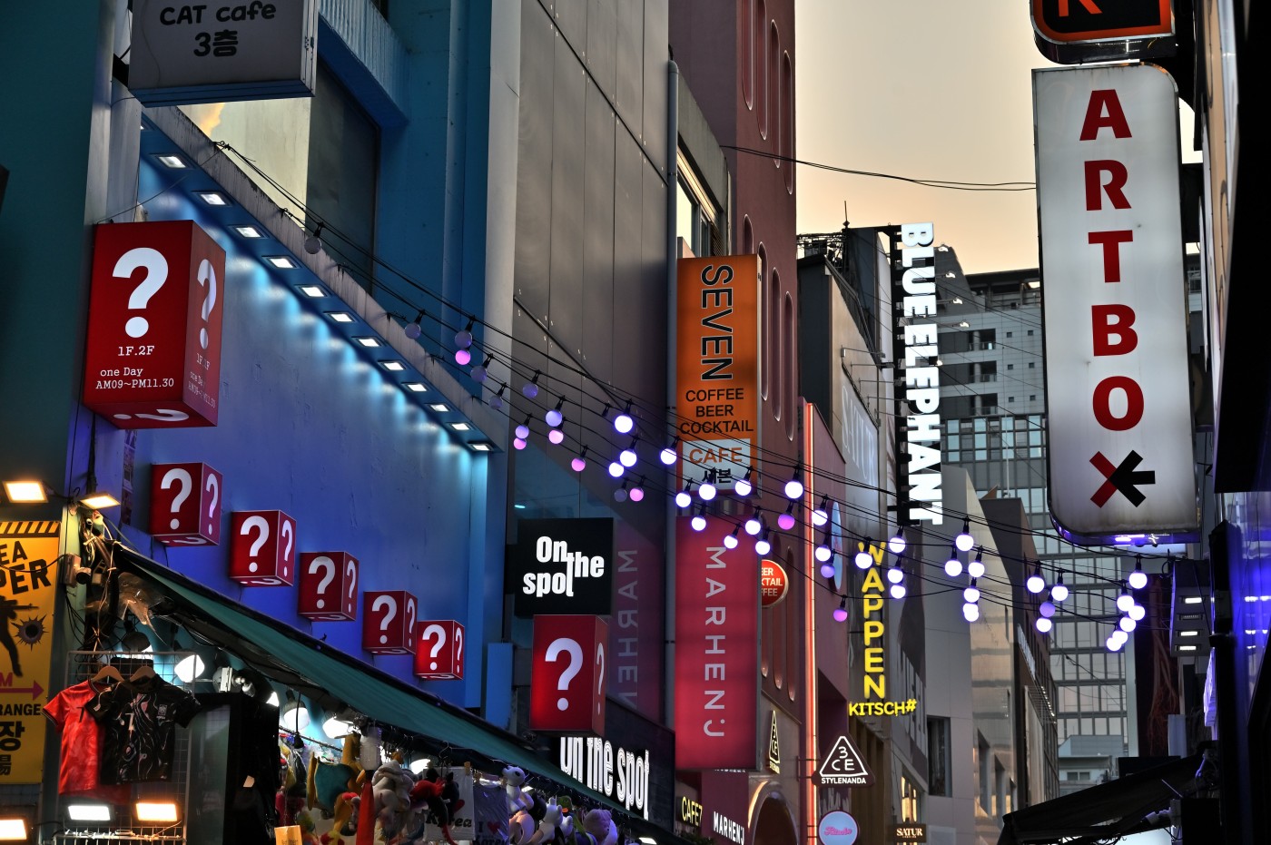 DSC_0955_00066.jpg