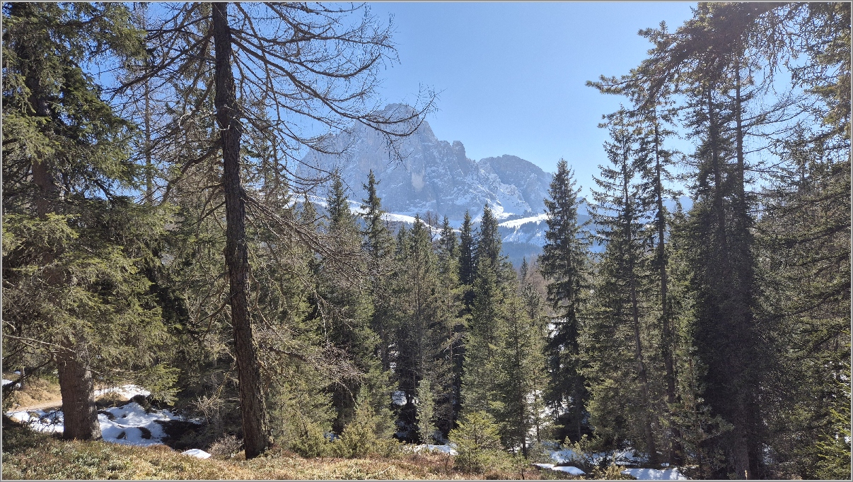 91-20260319_145230.jpg