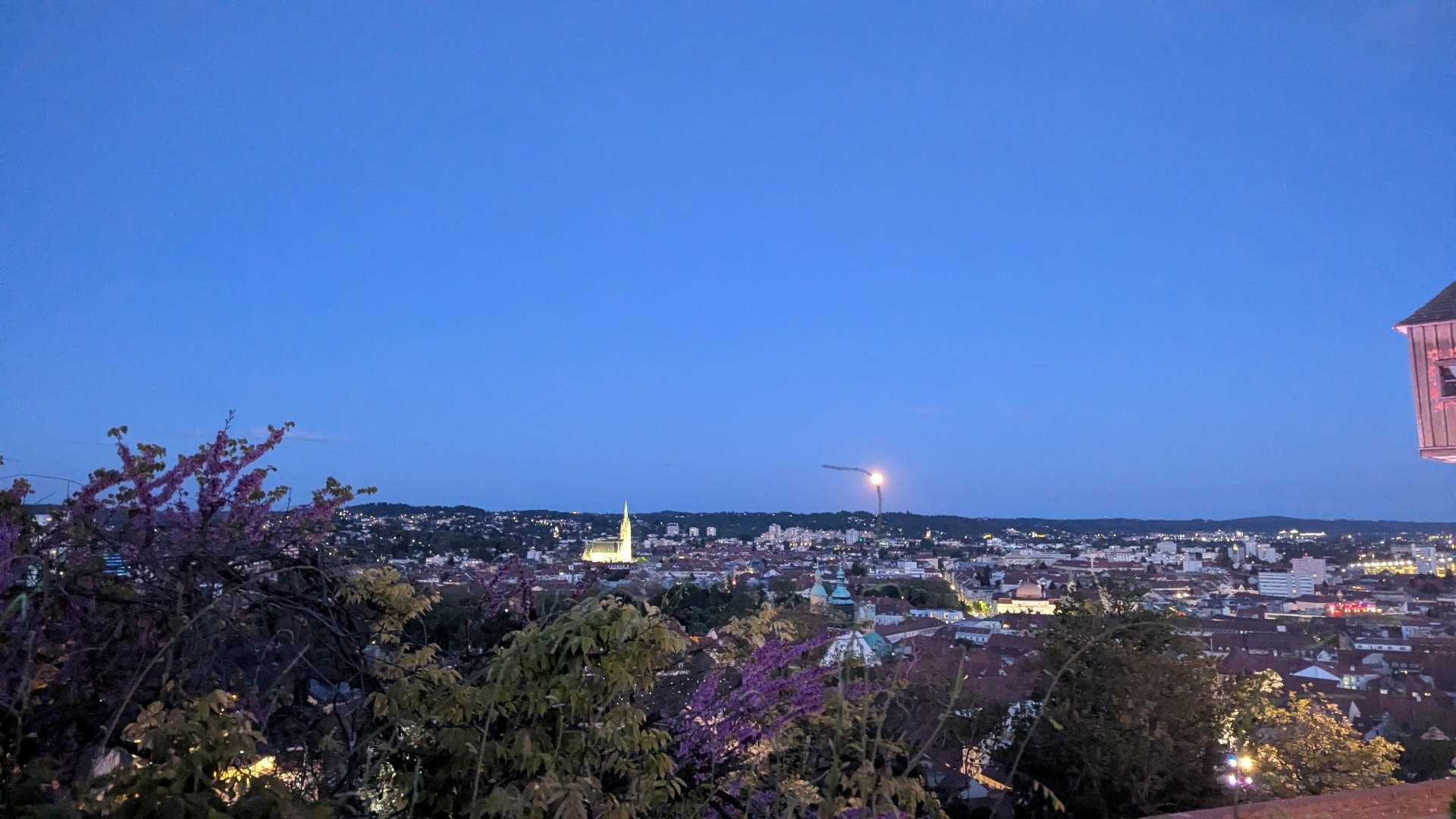 panorama1.jpg