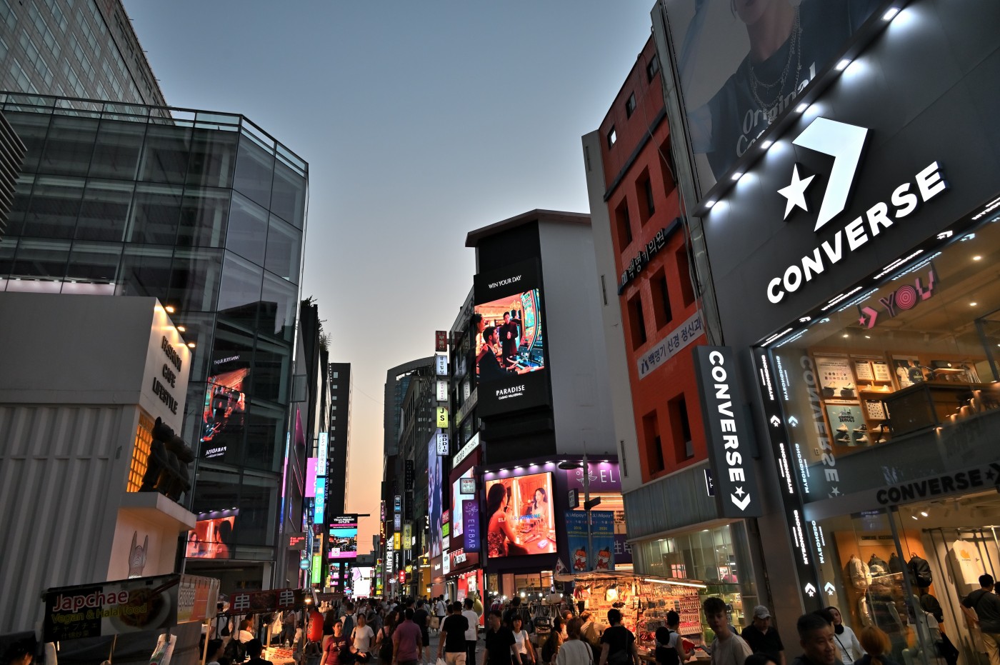 DSC_0971_00080.jpg