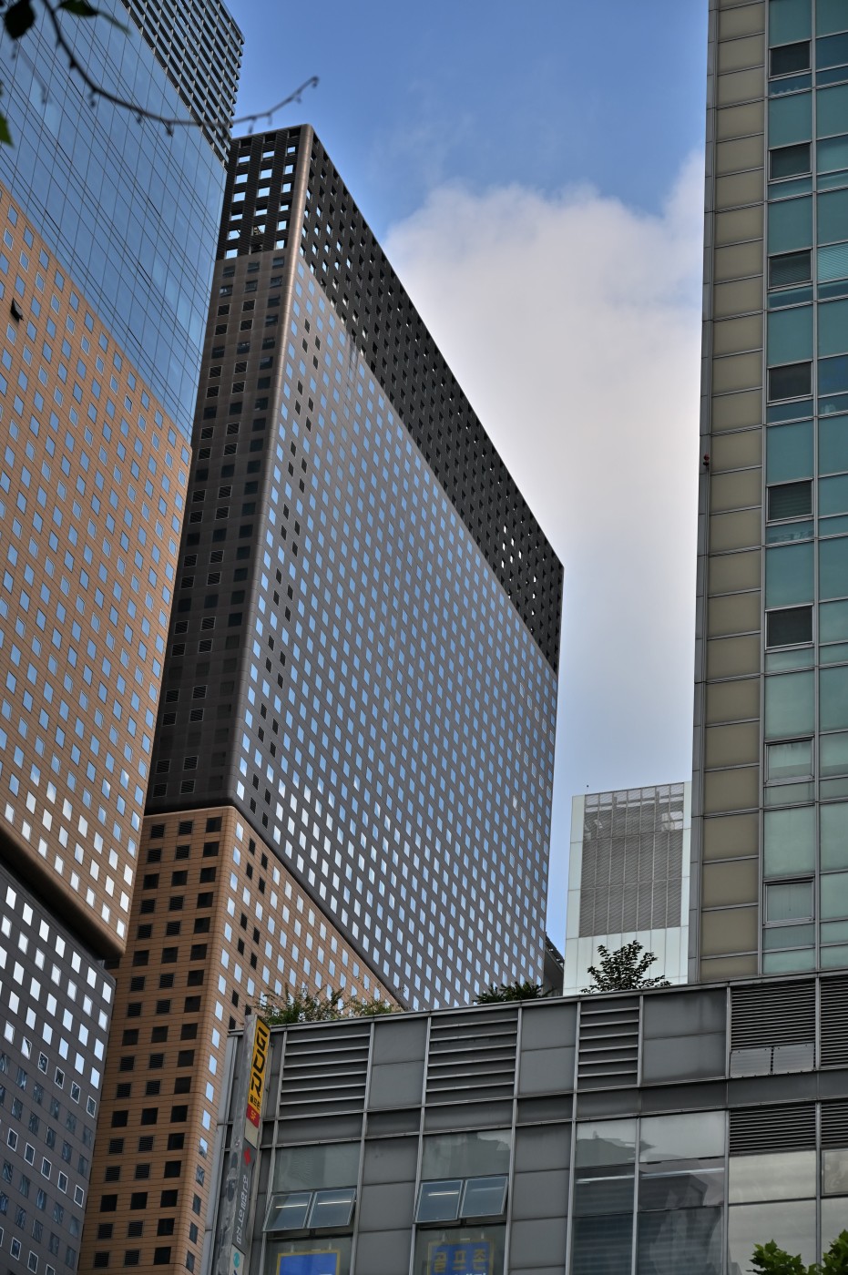 DSC_1019_00124.jpg