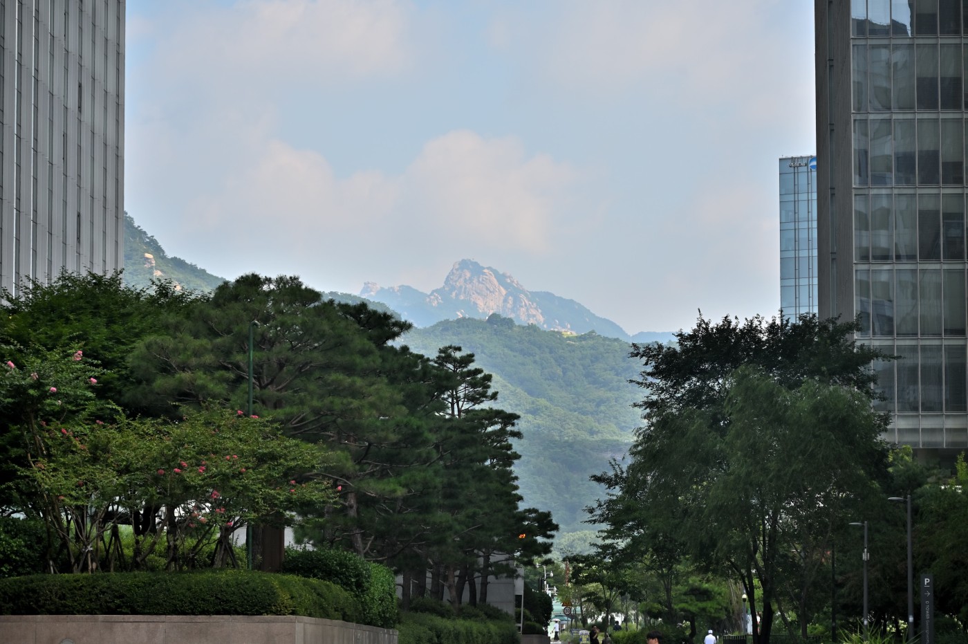 DSC_1022_00127.jpg