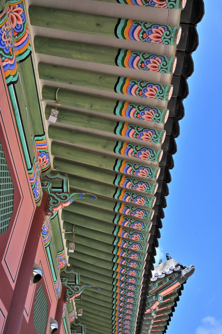 DSC_1043_00146.jpg