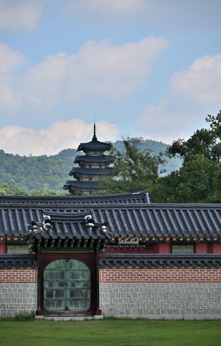 DSC_1072_00170.jpg