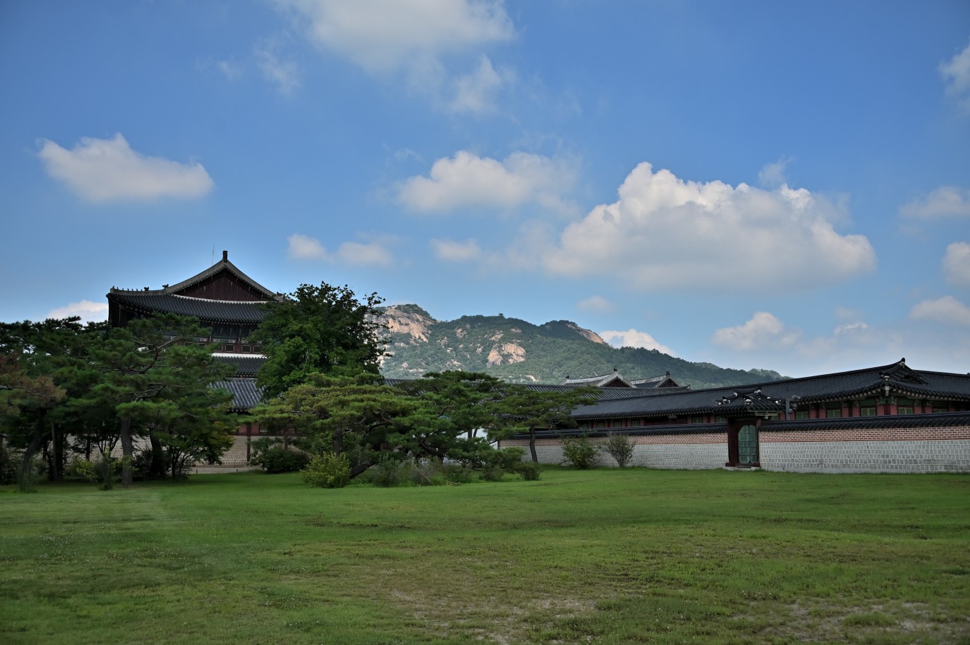 DSC_1074_00172.jpg
