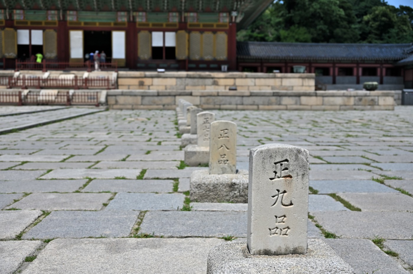 DSC_1119_00216.jpg