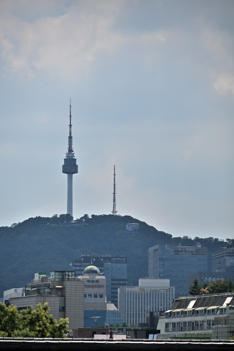 DSC_1126_00223.jpg