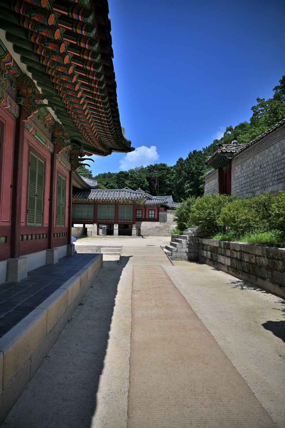 DSC_1132_00229.jpg