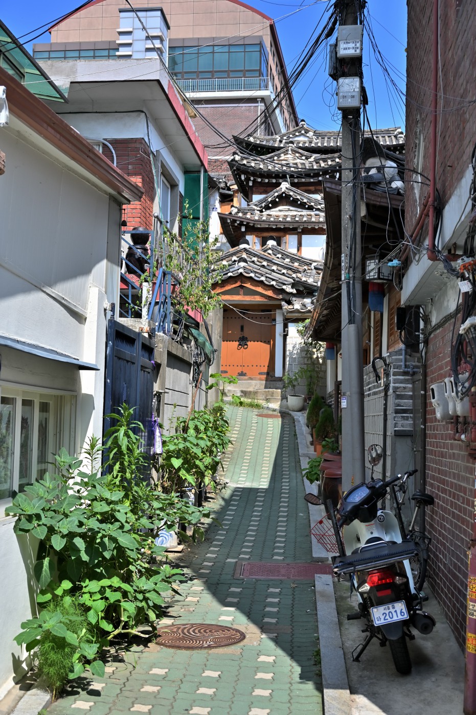 DSC_1147_00244.jpg