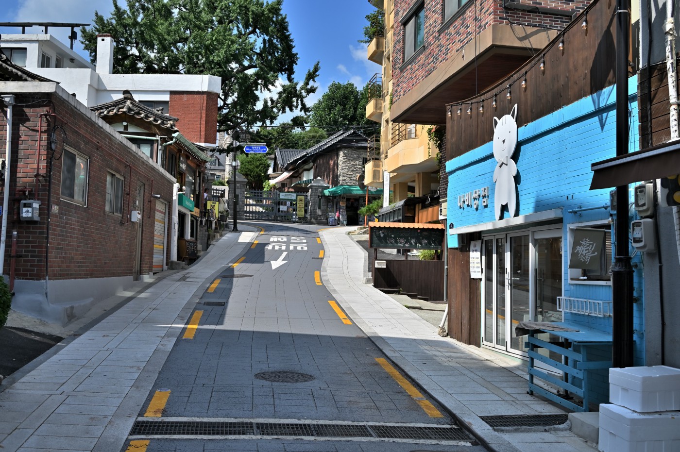 DSC_1149_00246.jpg
