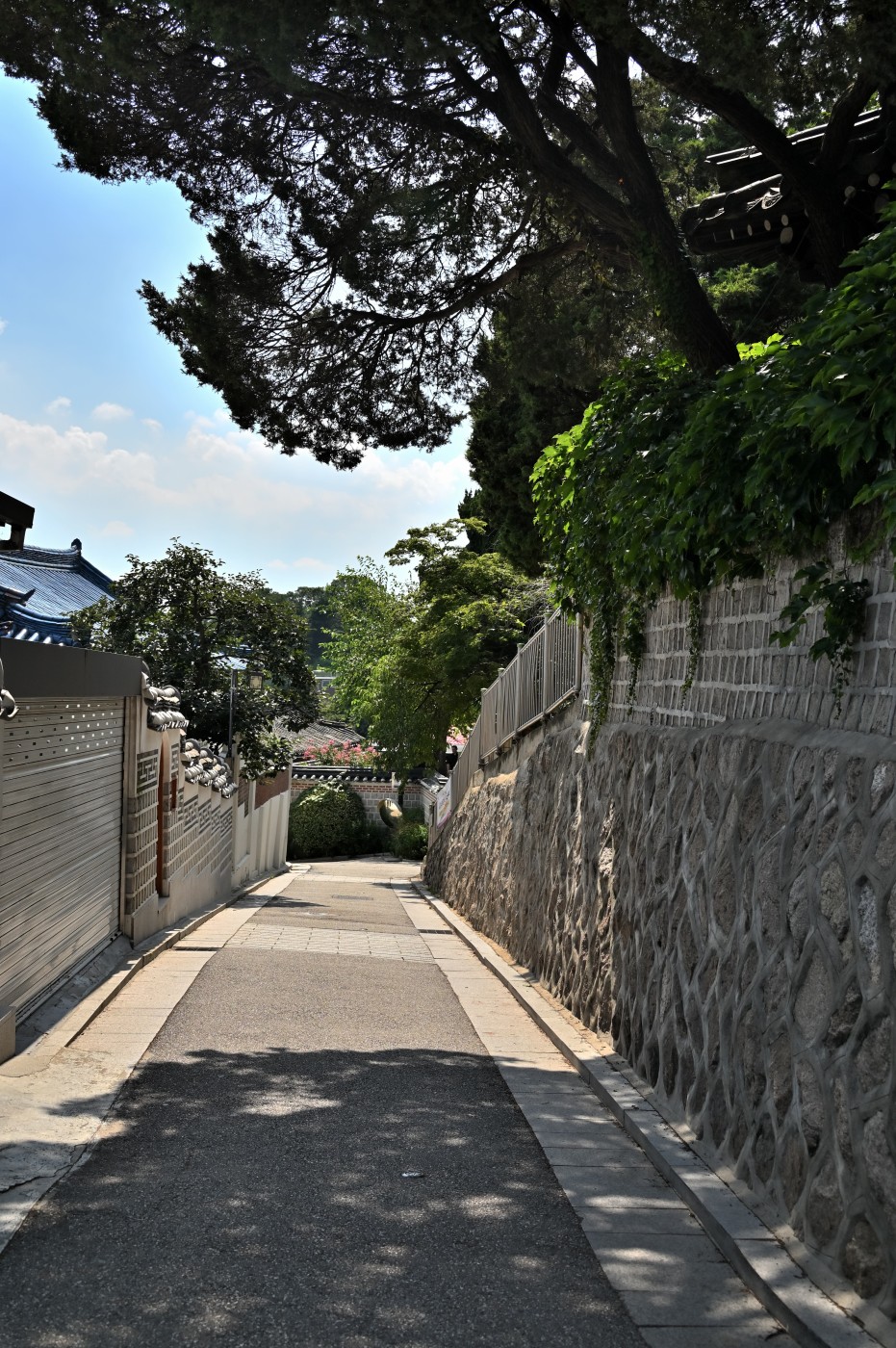 DSC_1151_00248.jpg